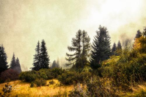 FTK209-8893-Herbstliche-Alpenlandschaft