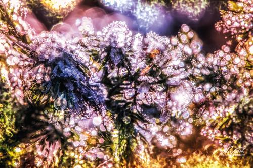 Fotokunst & Texturen